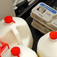 Illustration for article titled Eggs Are Not Feminist, But Dairy Is (With Conditions)